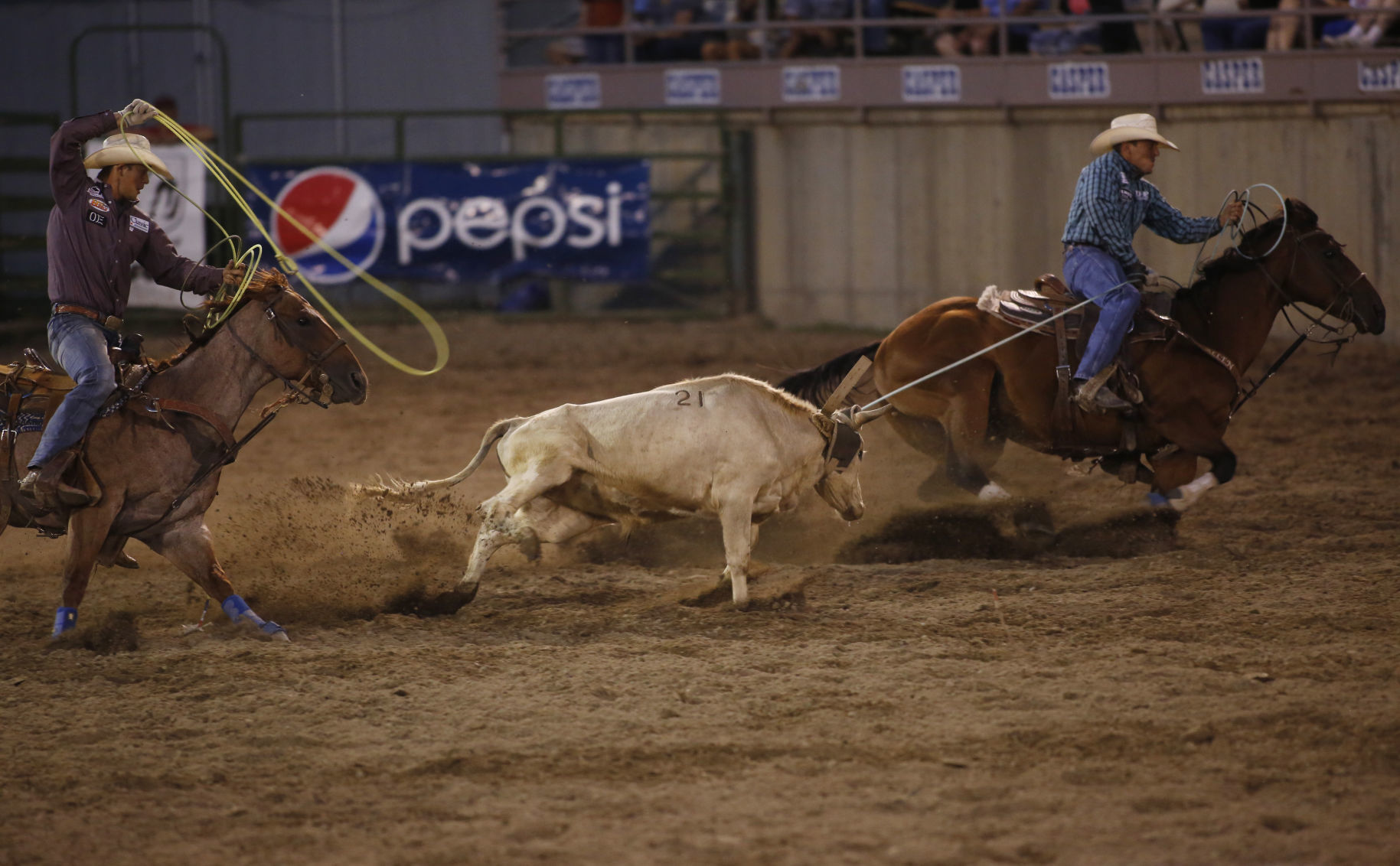 Central Wyoming Rodeo